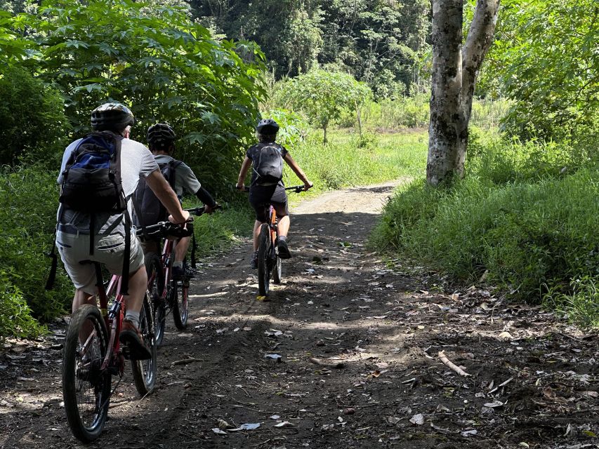 Munduk/Bali: Jungle Trek, Canoe, Waterfall & Cycling - Banyumala Waterfall Visit