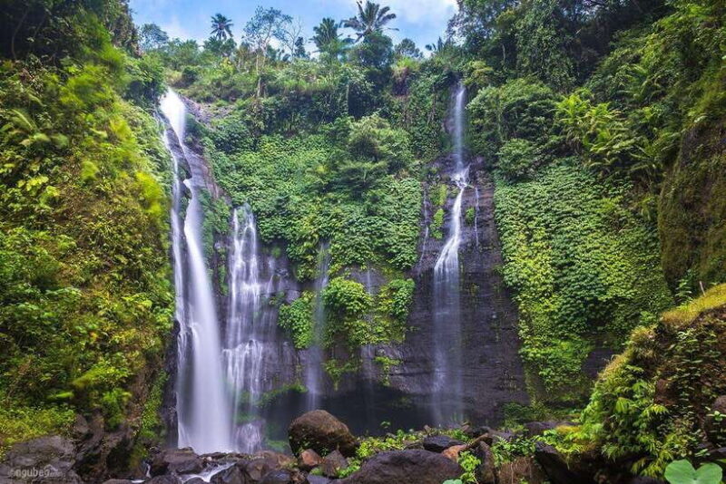 Munduk: Banyu Wana and Sekumpul Waterfall Trekking Tour - An In-Depth Look at the Tour