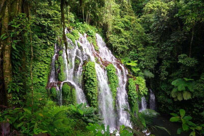 Munduk: Banyu Wana and Sekumpul Waterfall Trekking Tour - Who Will Love This Tour?