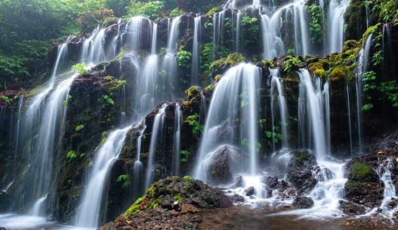Munduk: Banyu Wana and Sekumpul Waterfall Trekking Tour - Final Thoughts