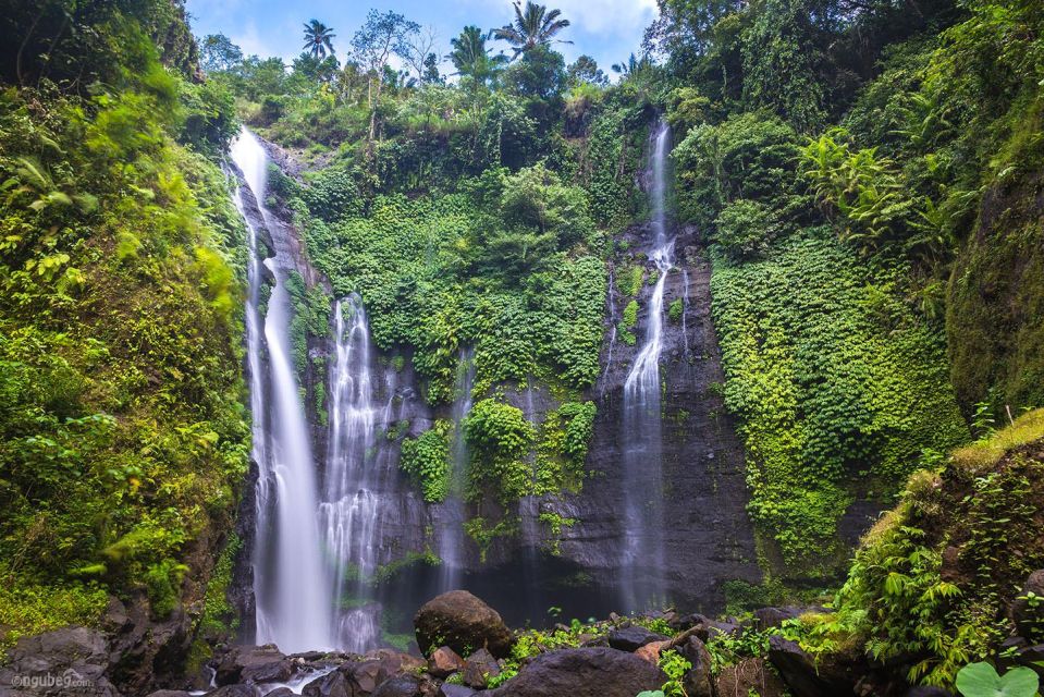 Munduk: Banyu Wana and Sekumpul Waterfall Trekking Tour - Inclusions