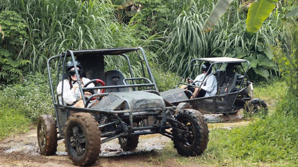 Munduk: Buggy Adventures With Picnic Lunch - Itinerary Breakdown