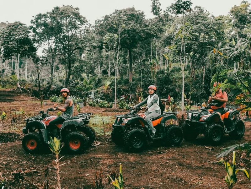 Munduk: Hidden Hill Quad Bike Ride to Banyumala Waterfalls - Highlights and Attractions