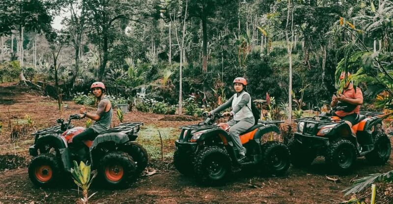 Munduk: Hidden Hill Quad Bike Ride to Banyumala Waterfalls - Customer Feedback and Ratings