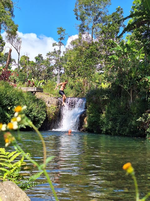 Munduk Hortensia Trek: Coffee Fields, Waterfalls Exploration - Experience and Attractions
