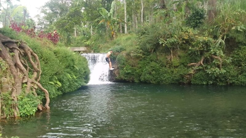 Munduk Hortensia Trek: Coffee Fields, Waterfalls Exploration - Inclusions and Exclusions