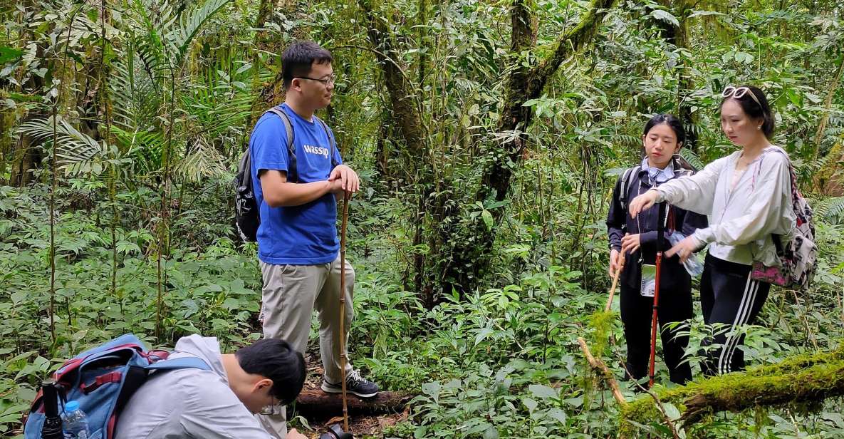 Munduk: Jungle Trekking, Canoeing, Waterfall & Authentic Lunch - Key Points
