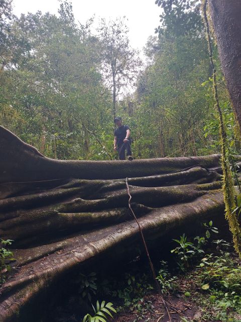Munduk: Jungle Trekking, Canoeing, Waterfall & Authentic Lunch - Savoring Balinese Culinary Delights