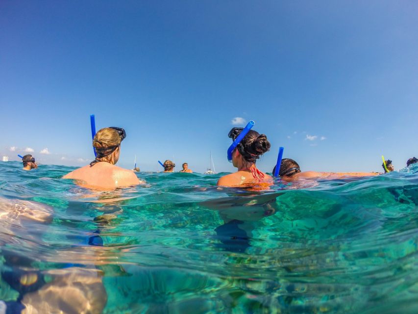 Munduk/Lovina: Waterfall, Snorkeling & Dolphin Watching Tour - Tour Activities