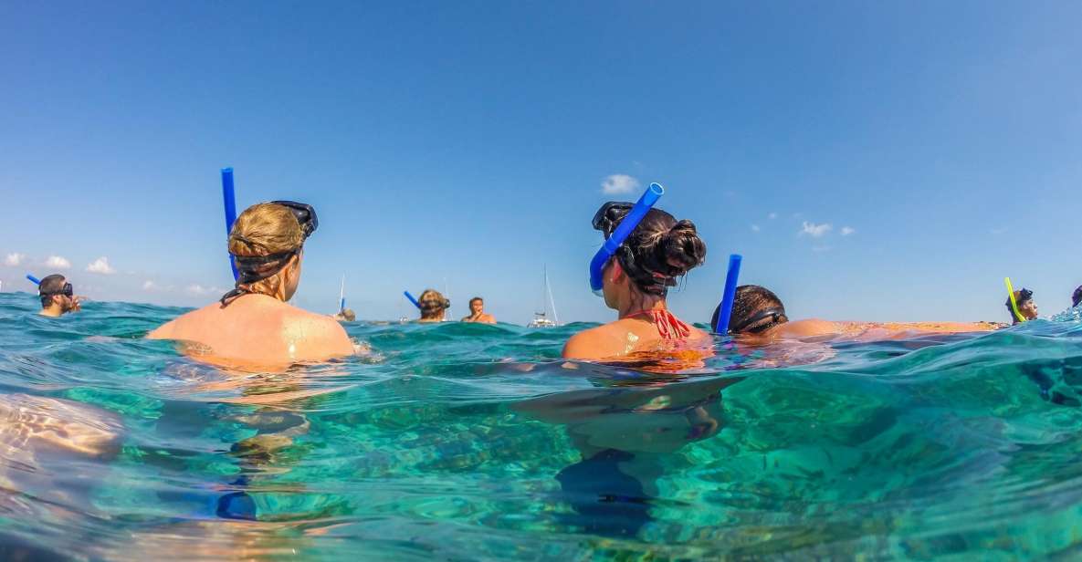 Munduk/Lovina: Waterfall, Snorkeling & Dolphin Watching Tour - Dolphin Watching in Lovina