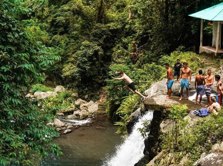Munduk/Lovina: Waterfall, Snorkeling & Dolphin Watching Tour - Banjar Hot Springs