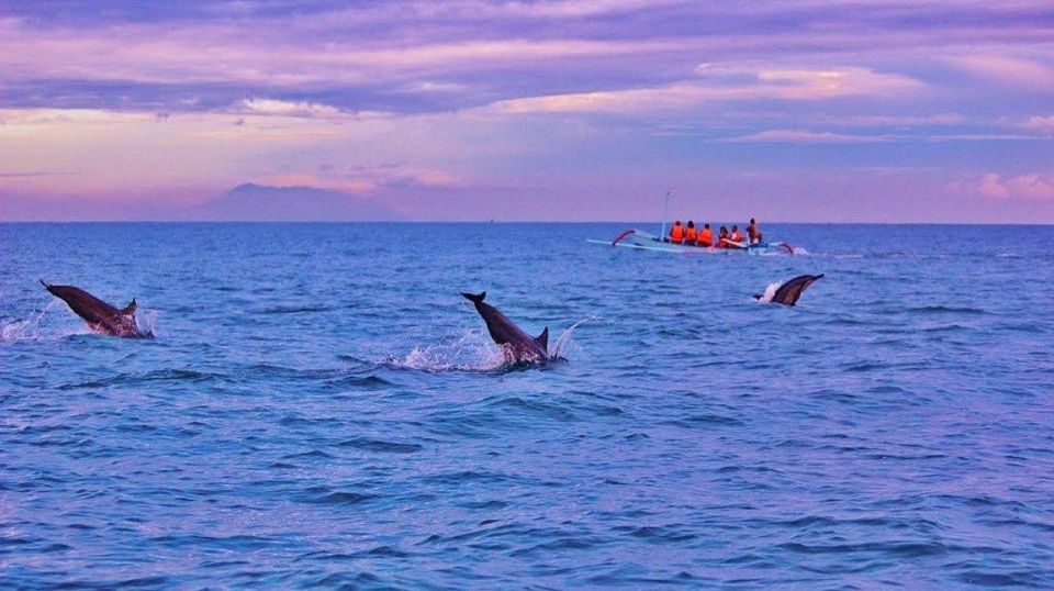 Munduk/Lovina: Waterfall, Snorkeling & Dolphin Watching Tour - Waterfall Exploration