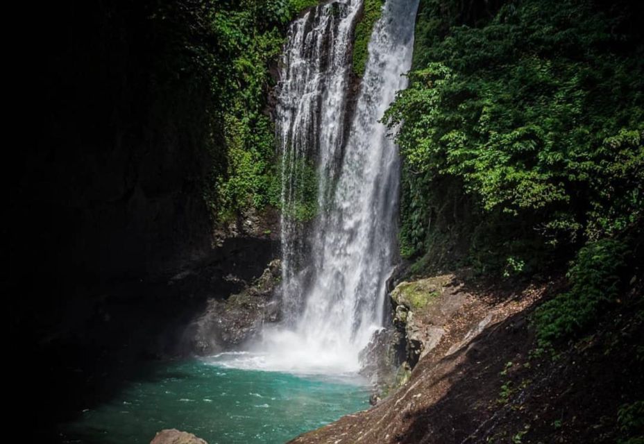 Munduk/Lovina: Waterfall, Snorkeling & Dolphin Watching Tour - Lovinas Black Sand Beach