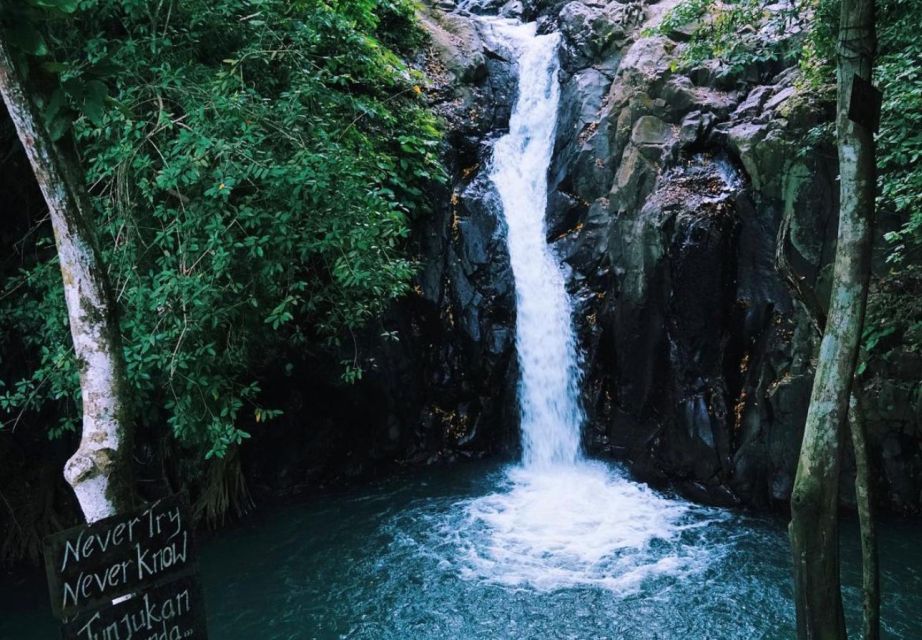 Munduk/Lovina: Waterfall, Snorkeling & Dolphin Watching Tour - Tour Inclusions and Add-ons