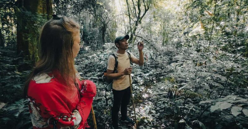 Munduk: Rainforest Hiking, Canoeing And Waterfall Tour - Good To Know