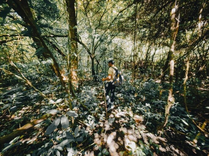 Munduk: Rainforest Hiking, Canoeing And Waterfall Tour - Inclusions