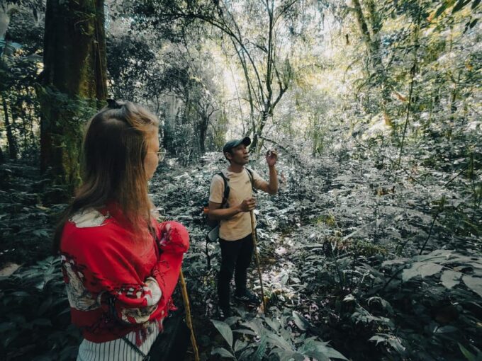 Munduk: Rainforest Hiking, Canoeing And Waterfall Tour - Important Information