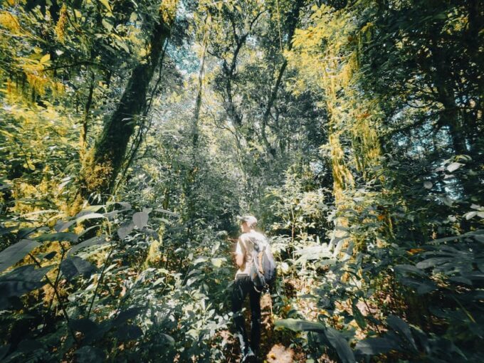 Munduk: Rainforest Hiking, Canoeing And Waterfall Tour - Frequently Asked Questions