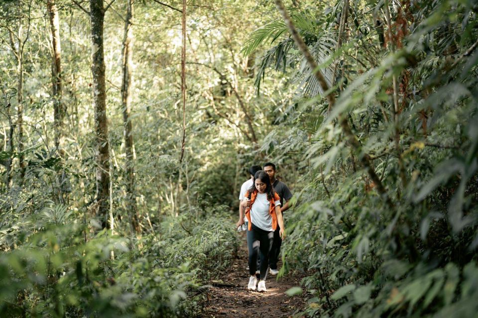 Munduk: Rainforest Tamblingan Lake Trekking & Canoeing - Key Points