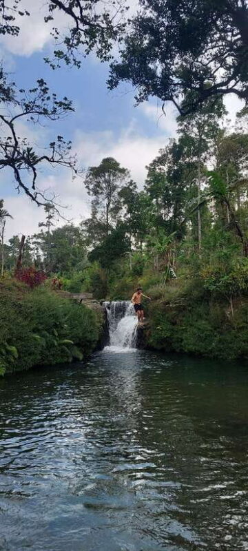 Munduk: Waterfall,Coffee Plantations & Hydrangea Trail - What to Expect on the Tour