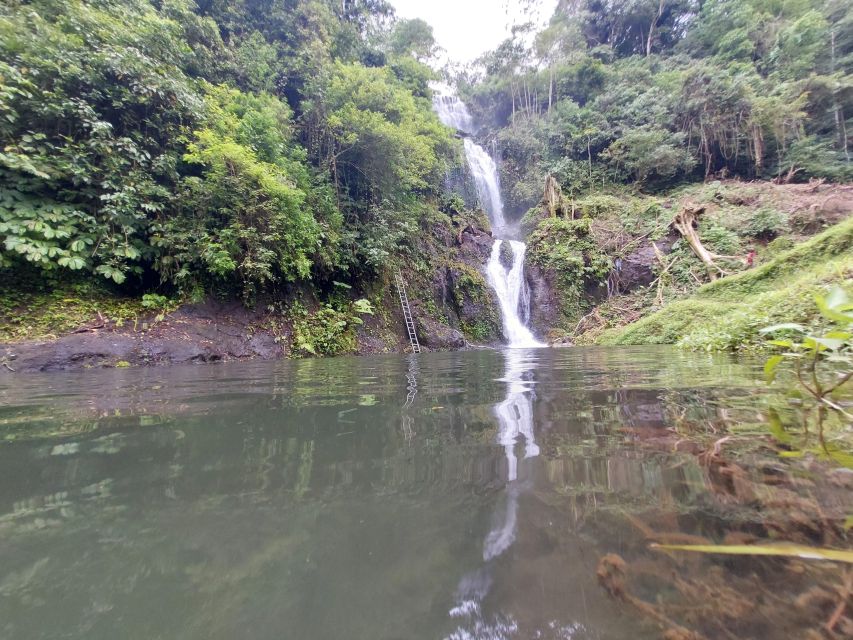 Munduk: Waterfall,Coffee Plantations & Hydrangea Trail - Knowledgeable English Guide