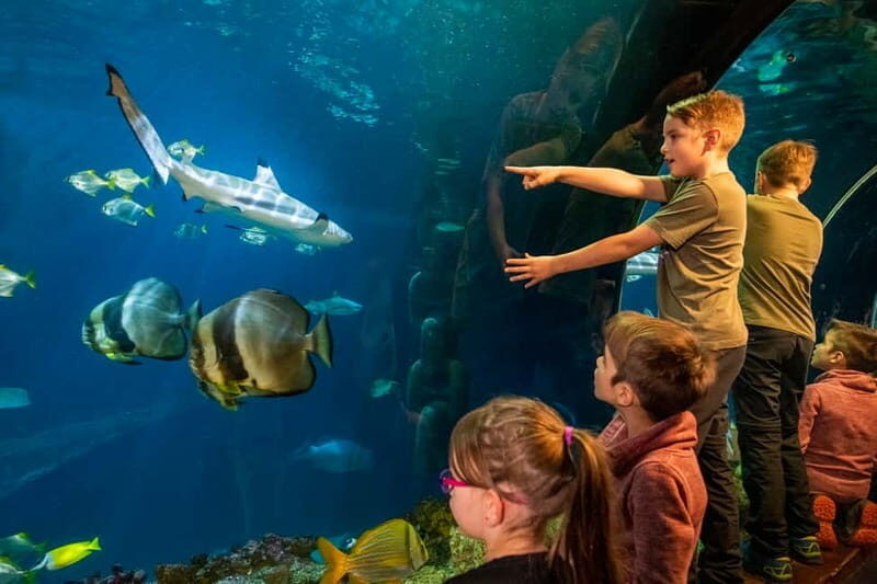 Munich: Day Ticket to Sea Life - Authentic Perspectives from Visitors