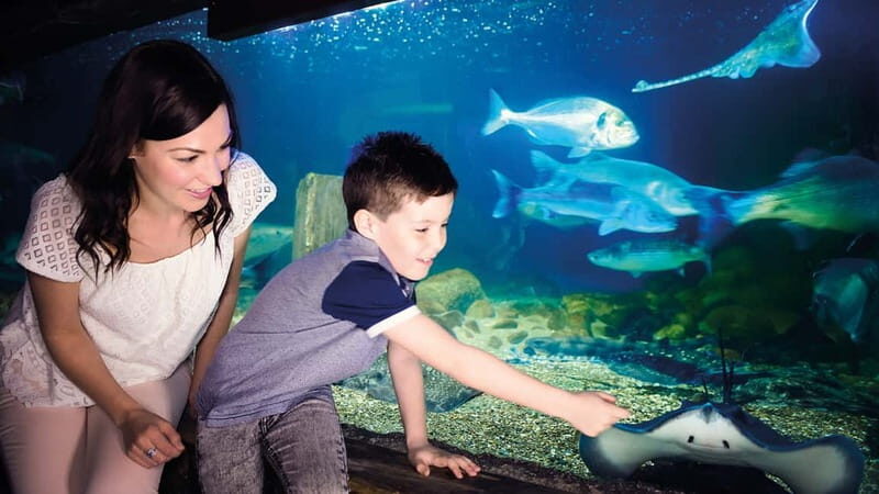 Munich: Day Ticket to Sea Life - FAQ