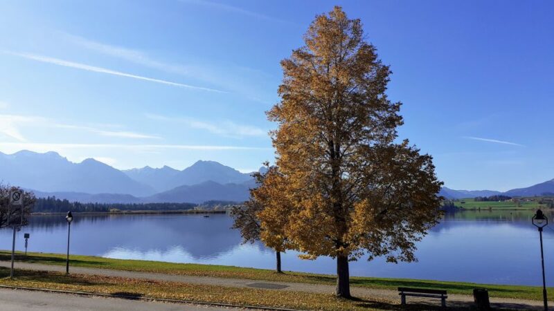 Munich: Neuschwanstein Private Guided Tour Packages - Important Information and Restrictions