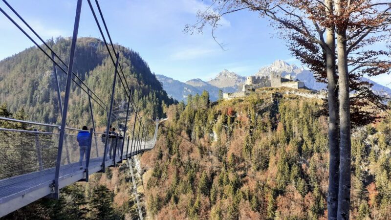 Munich: Neuschwanstein Private Guided Tour Packages - Customer Reviews and Ratings