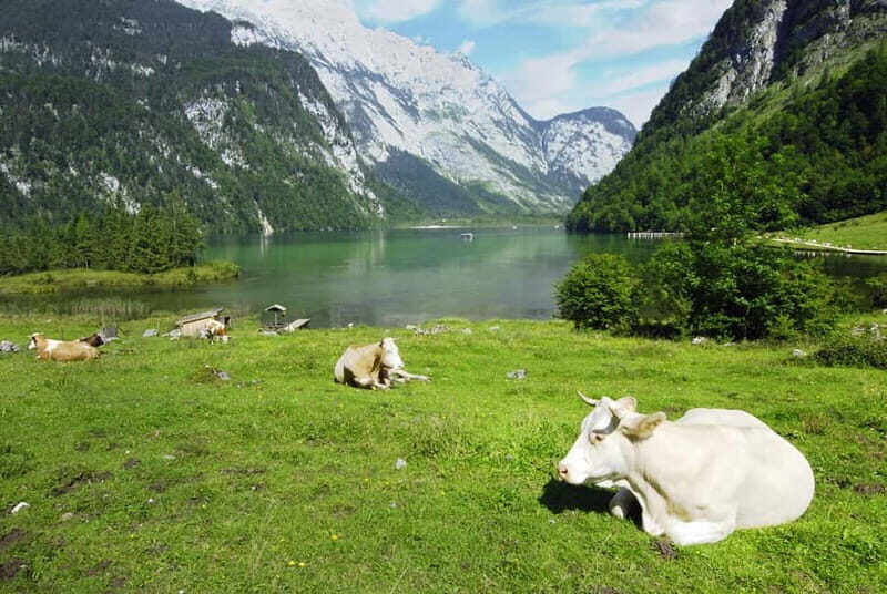 Munich: Private Lake Königssee & Salt Mine Tour with Lunch - Discover the Charm of Bavaria: Private Lake Königssee & Salt Mine Tour with Lunch