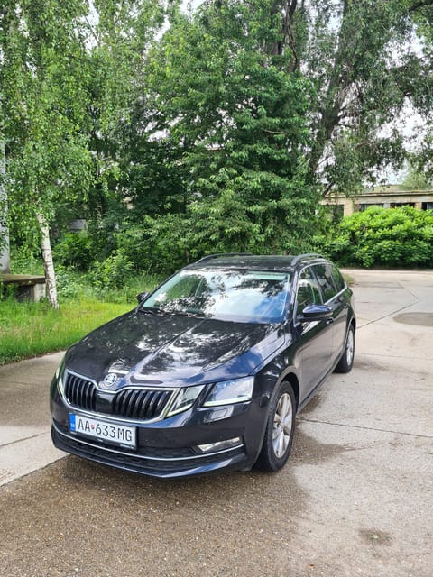 Munich: Private transfer to Vienna with stop in Hallstatt - An In-Depth Look at the Munich to Vienna Private Transfer