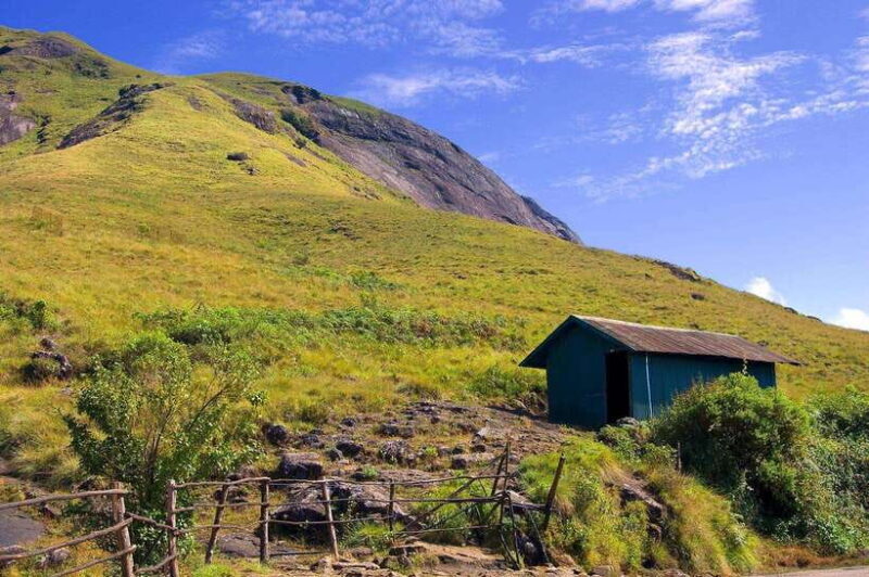 Munnar& Alleppey 3N/4D Exclusive Tour with Houseboat Stay - Key Points