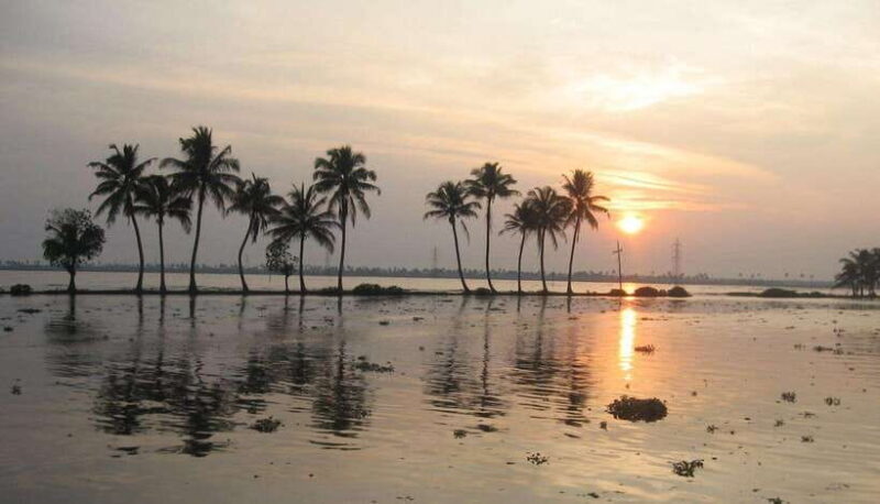 Munnar& Alleppey 3N/4D Exclusive Tour with Houseboat Stay - Practical Details and Value