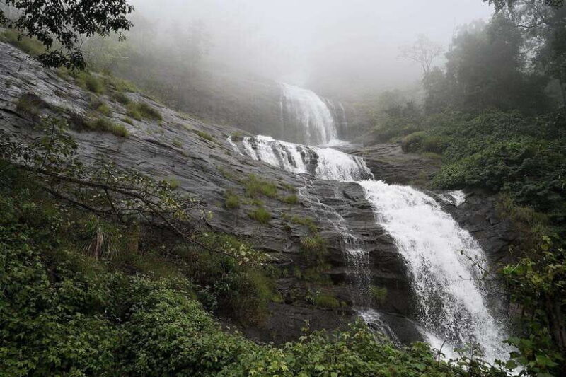 Munnar& Alleppey 3N/4D Exclusive Tour with Houseboat Stay - FAQ