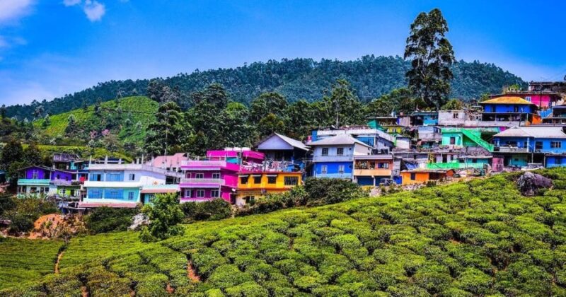 Munnar Hill Station With Periyar Wildlife Tour (03 Days) - Accommodation Details
