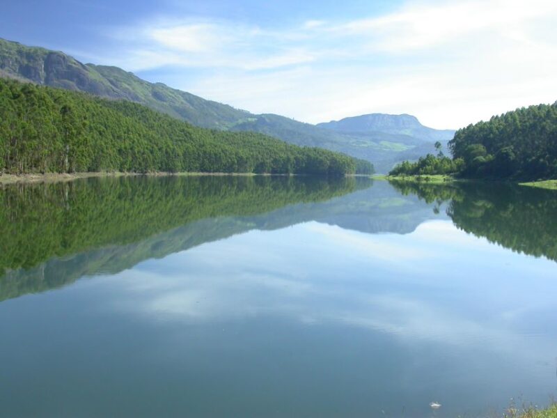 Munnar Site-Seeing Tour - Transportation Options