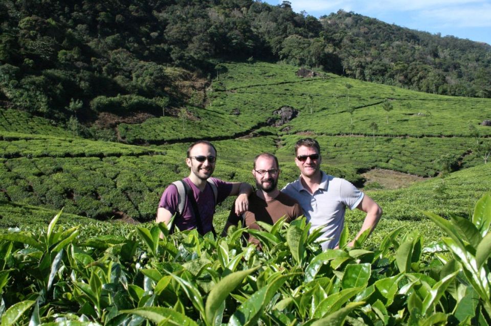 Munnar Tea Trek - Itinerary and Highlights