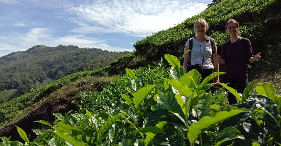 Munnar Tea Trek - Inclusions and Exclusions