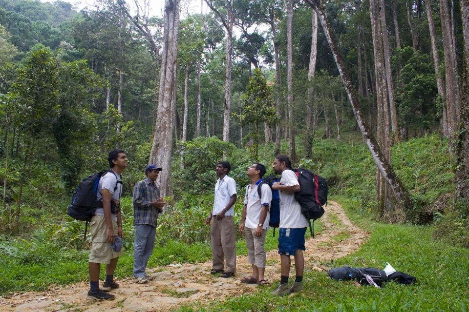 Munnar Tea Trek - What to Bring