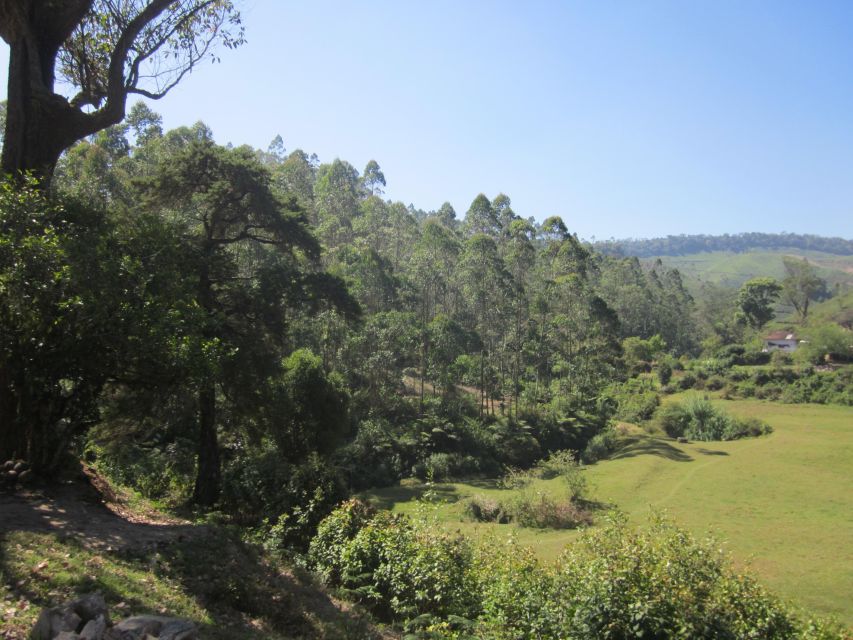 Munnar Tea Trek - Frequently Asked Questions