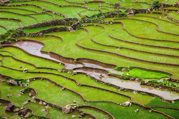 Muong Hoa Valley 2-Day Group Trek With Homestay - Frequently Asked Questions