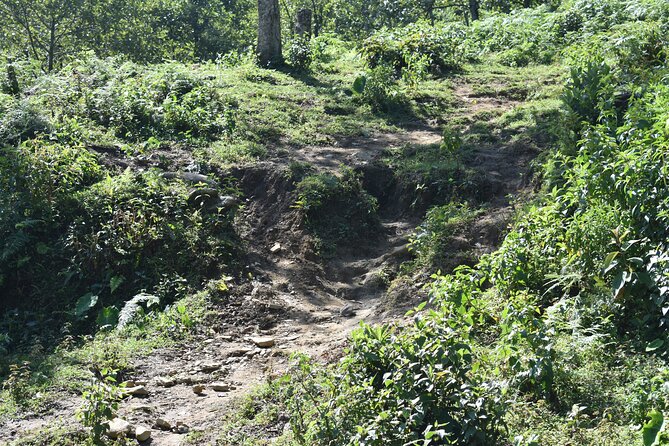Muong Hoa Valley View & Village Trek in Sapa 1 Day - The Sum Up