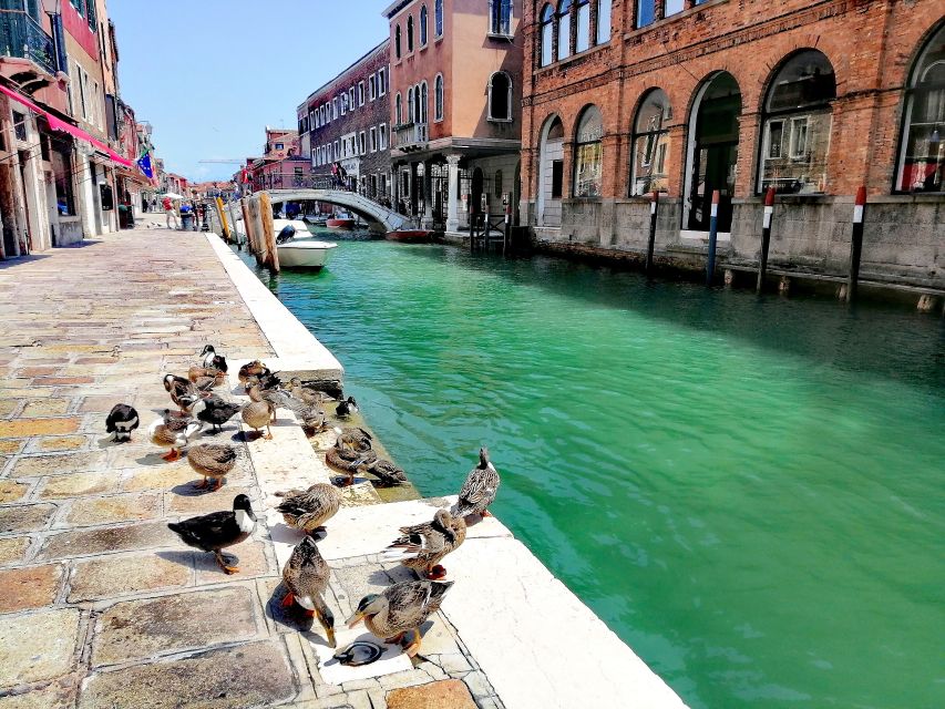 Murano: Glass Lampwork Workshop and Walking Tour - Meeting Point and Directions