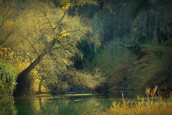 Murcia: Rafting in the Almadenes Canyon, Visit to Two Caves and Photos - Visiting the Nutrias Cave