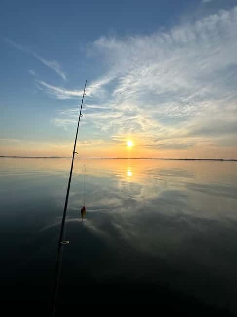 Murighiol: Danube Delta Water Lily Reserve Sunrise Boat Tour - Key Points