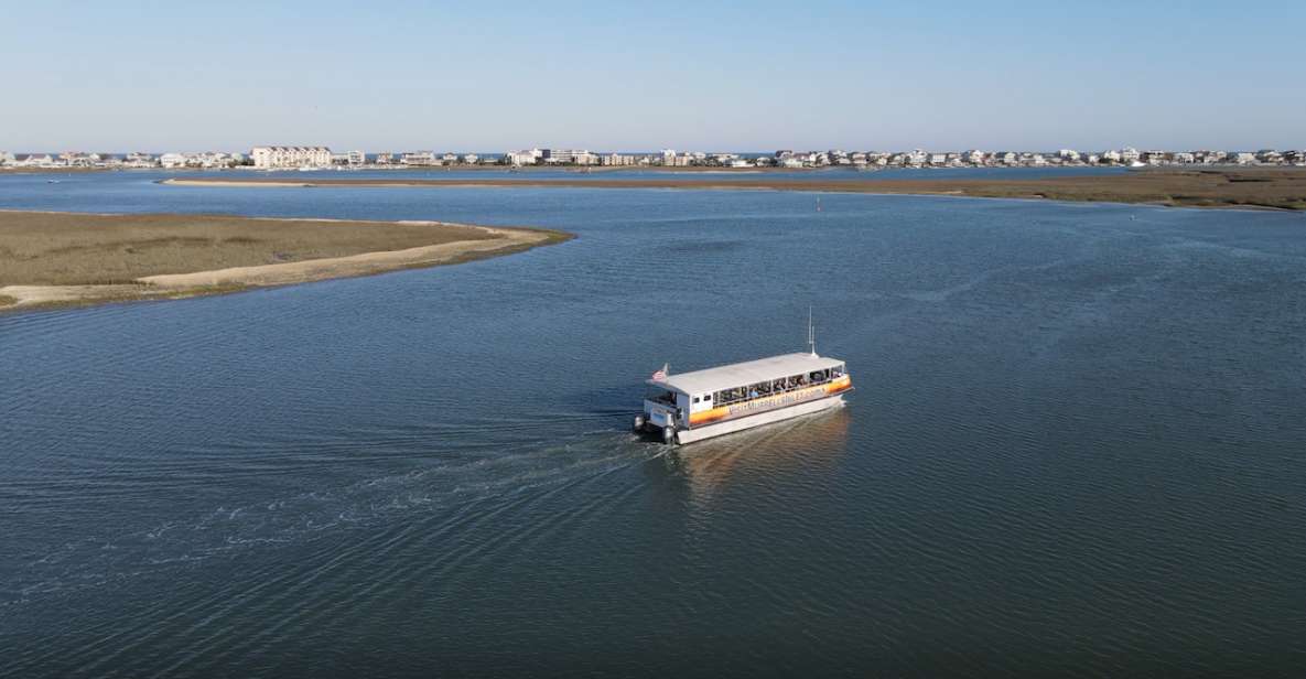 Murrells Inlet: Saltwater Marsh Eco Tour With Beachcombing - Observing Native and Migratory Birds