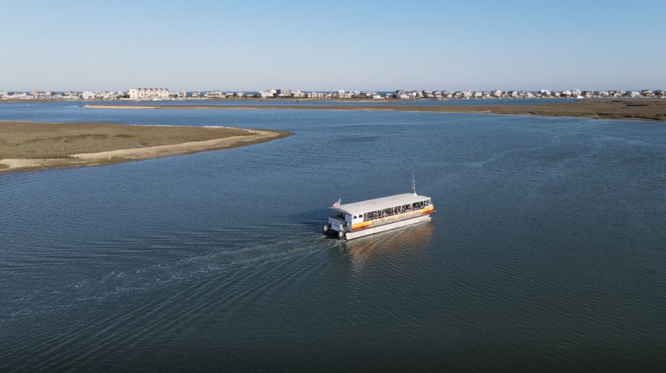 Murrells Inlet: Saltwater Marsh Eco Tour With Beachcombing - Hands-on Sea Life Experience