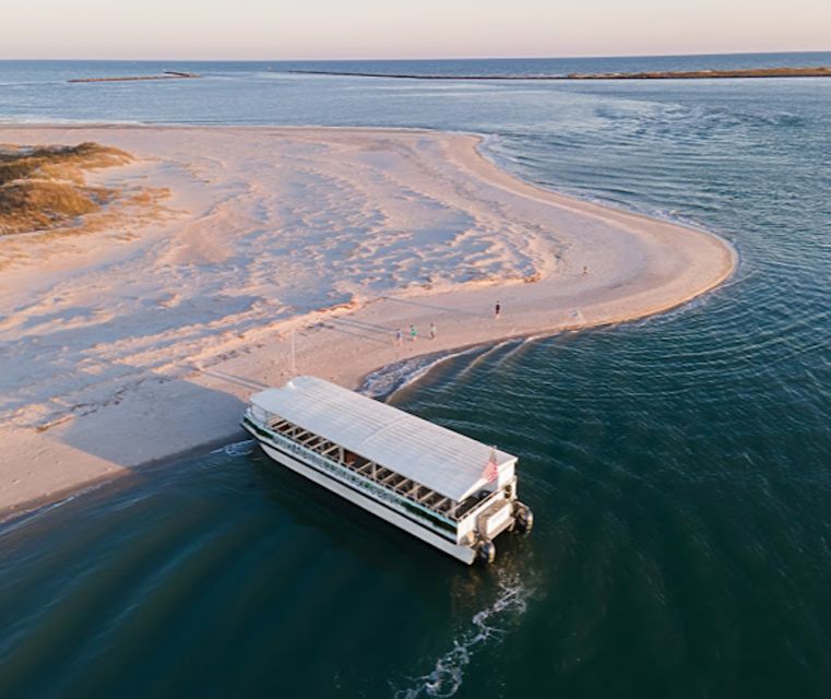 Murrells Inlet: Saltwater Marsh Eco Tour With Beachcombing - What to Expect on the Tour