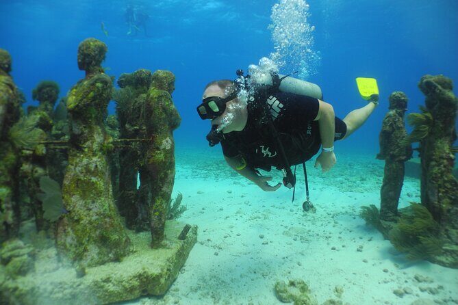 MUSA Diving For Beginners in Cancun - What to Expect from This Cancun Underwater Adventure