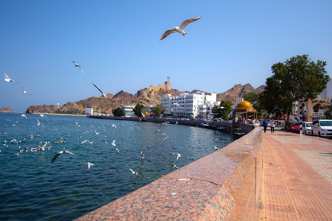 Muscat City Tour Full Day - Private Guided Tour From Muscat - Inclusions of the Tour